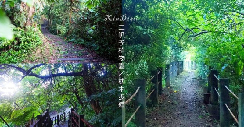 新北的植物園，還有枕木步道可以走！新店二叭子植物園