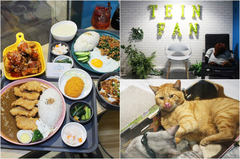 桃園中壢｜添飯Woo．內壢火車站附近複合式異國料理寵物友善餐廳 