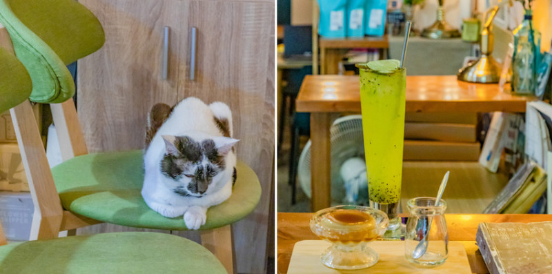 西子灣美食 / 哈瑪星美食 / 咖啡甜點都有點強的咖啡強