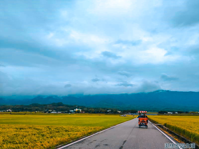 伯朗大道-台東池上/瞭望天堂之路.金城武樹打卡聖地 - 潔絲蜜愛生活