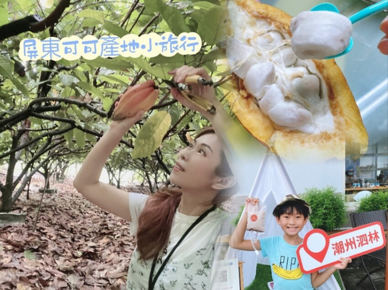 台灣屏東可可產地小旅行~今年最酷熱的暑假作業,尋找南國可可去!