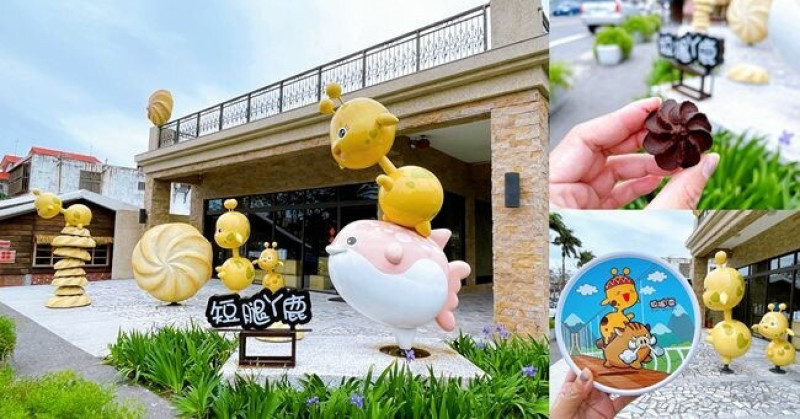 花蓮必買伴手禮 ❙ 短腿ㄚ鹿 ❙ 超人氣曲奇餅 花蓮限定可可風味 新城老街美食!