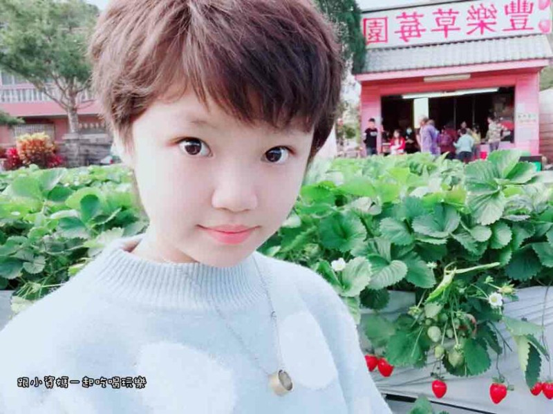 【苗栗縣大湖鄉景點】豐樂草莓園 高架式草莓不用怕弄髒 不需預約 有停車場 親子一日遊推薦 鄰近大湖酒莊