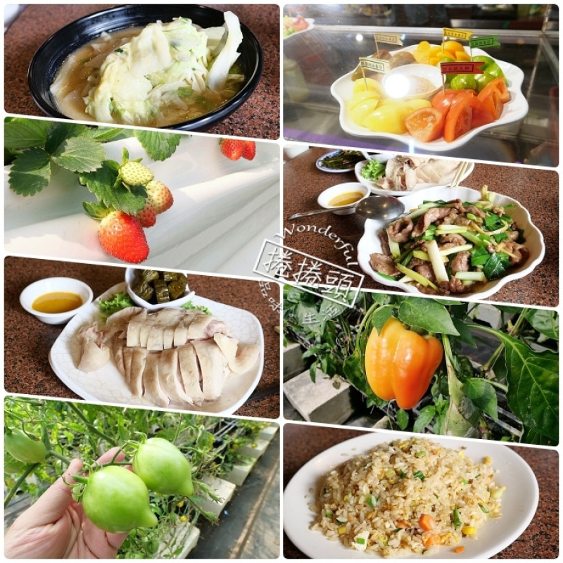 新竹景點⎮金勇DIY休閒農場X福站客家小站。採七彩繽紛新鮮蕃茄、大顆草苺，享受道地客家菜料理！ @捲捲頭 Wonderful 品味。生活