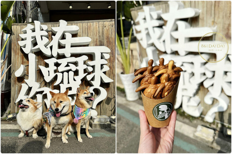 我在小琉球你呢？小琉球必吃海龜燒，861dayday是網美店也是ig最新熱門打卡點！