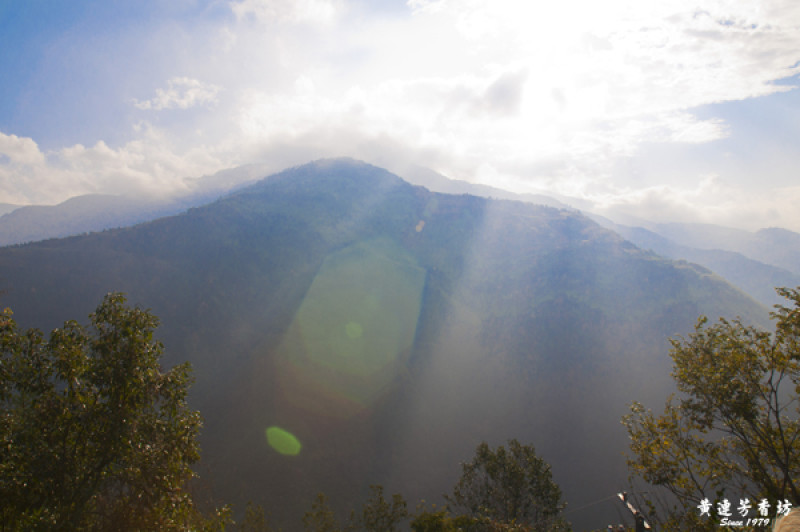 賞楓路線推薦行程，桃園拉拉山追楓去 巴陵【風】情