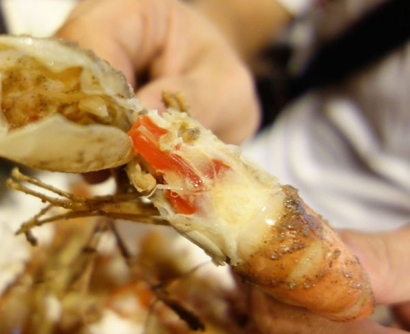 西海岸活蝦之家~香香辣辣好吃到停不下來啦