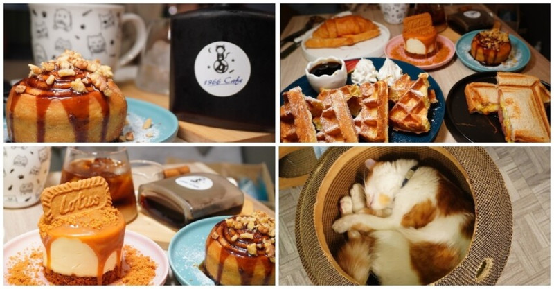 [板橋咖啡廳推薦] 1966Cafe- 療癒小橘貓的手作甜點 x下午茶咖啡/ 板橋必喝咖啡/ 手作甜點/ 台北寵物咖啡