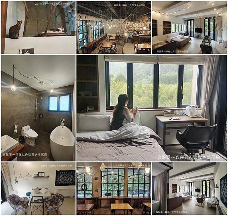 『南投。七天四季咖啡民宿（環境篇）』～溪頭住宿／在森林裡度假／一樓是咖啡館