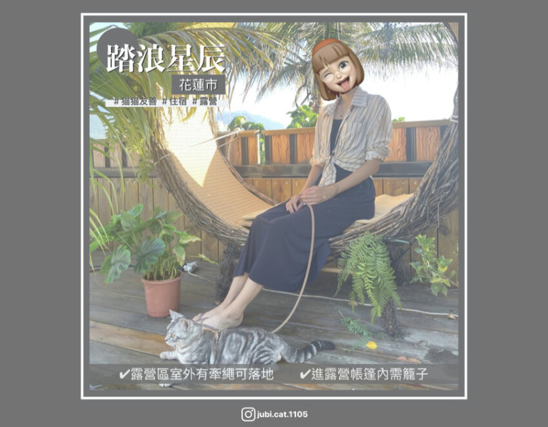 【踏浪星辰露營】｜花蓮｜貓貓友善｜寵物友善露營｜寵物可進帳篷內｜有冷氣