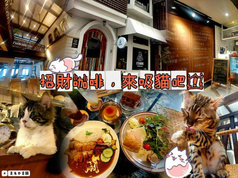 新竹「招財咖啡」貓奴一定超愛的貓屋！超多貓貓讓你擠爆記憶卡！超好吃的咖哩飯、超多種類飲料、超推的甜點！