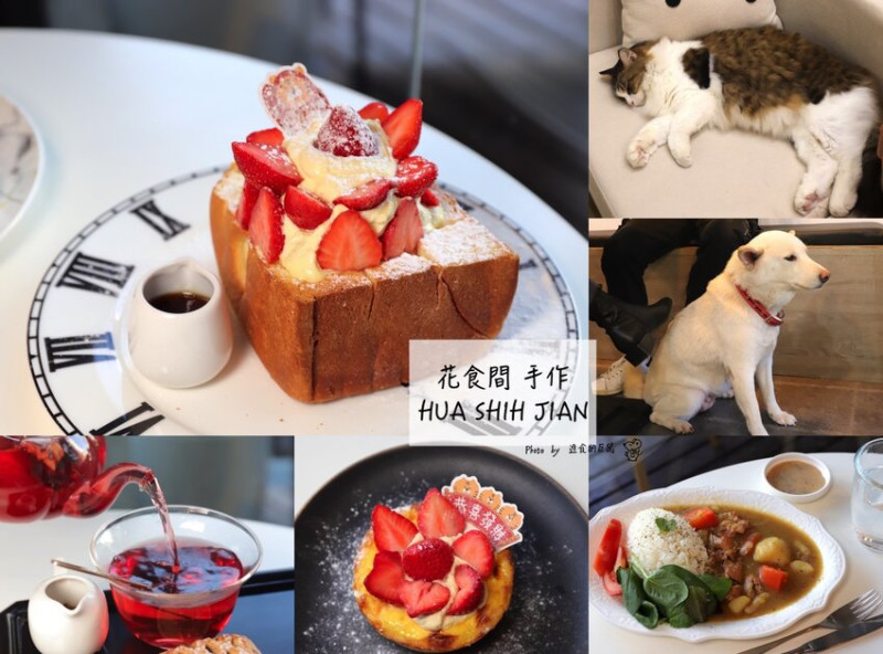 花食間 手作HUA SHIH JIAN 重新開幕~用餐空間更大更舒適，讓可愛的貓咪狗狗陪你度過放鬆的下午茶時光/神農街寵物午茶餐廳推薦 - 進食的巨鼠