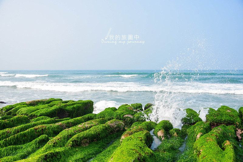 《台北石門》老梅綠石槽 春天捎來的一抹綠意、四五月季節限定景點