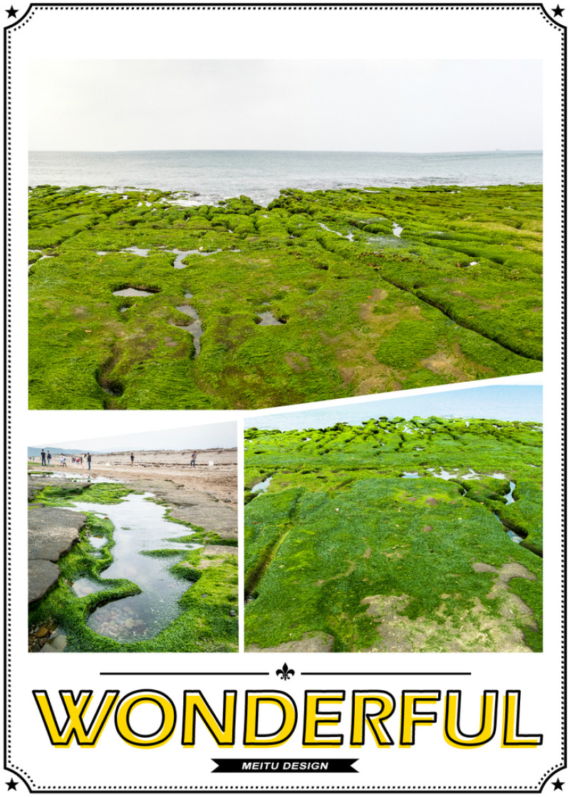 『遊記』老梅綠石槽 季節限定 新北市石門區