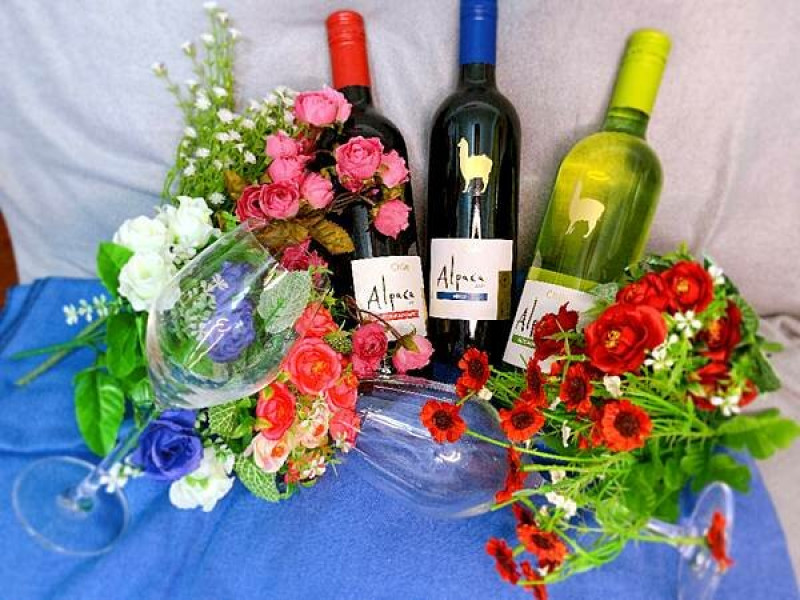 【宅配美食】【團購美食】飲過即難忘的～Alpaca智利羊駝葡萄酒陪你過聖誕【葡萄酒】【葡萄紅酒】【葡萄白酒】