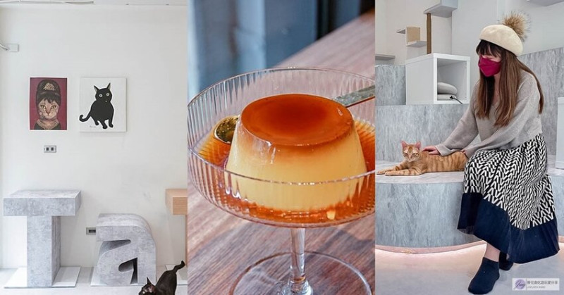 竹北美食-踏踏咖啡 x 養憩動物血液中心-貓奴的天堂!隱藏巷弄內的療癒咖啡廳/咖啡 甜點/鄰近竹北六家國小