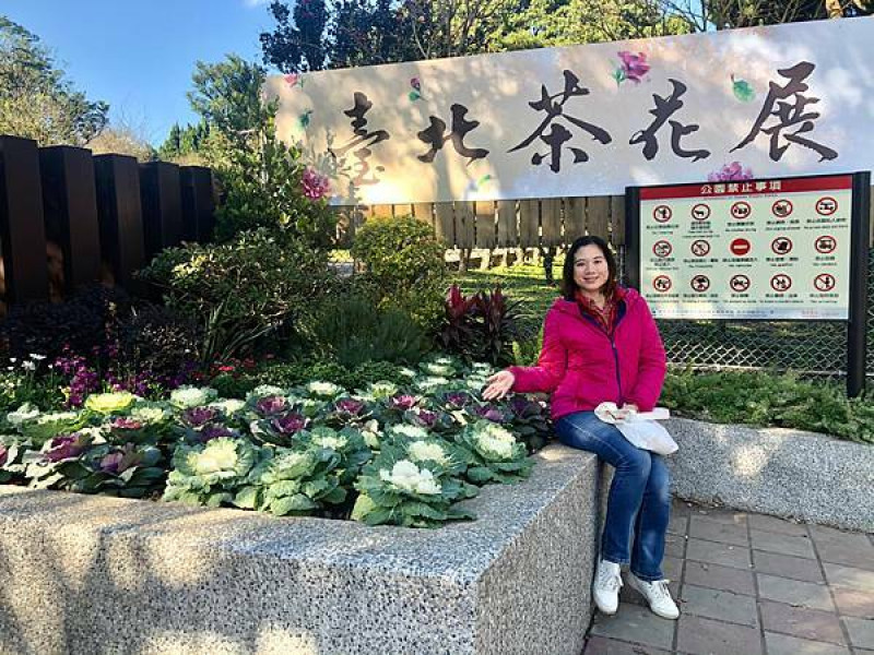 Jessica遊記-台北景點「2021年台北茶花展」位於台北花卉中心，冬陽暖和、茶花開出美景，各種茶花美不勝收