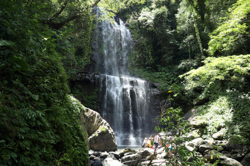 新北健行｜雲森瀑布步道｜低門檻秘境！輕鬆抵達的絕美景點