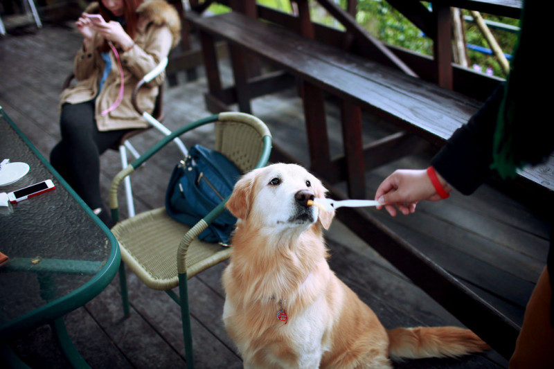 蔣公午後的大溪約會