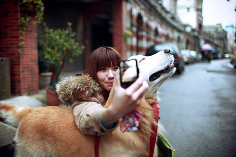  小狗和蔣公午後的大溪約會