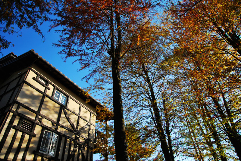 暖心 . 童話森林 * 清境 . 見晴花園渡假山莊 ( 羽松館 )