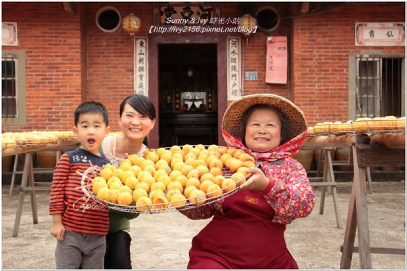 【免費好康報報】新竹新埔觀光工廠 - 味衛佳柿餅觀光農場。造訪金黃柿子香