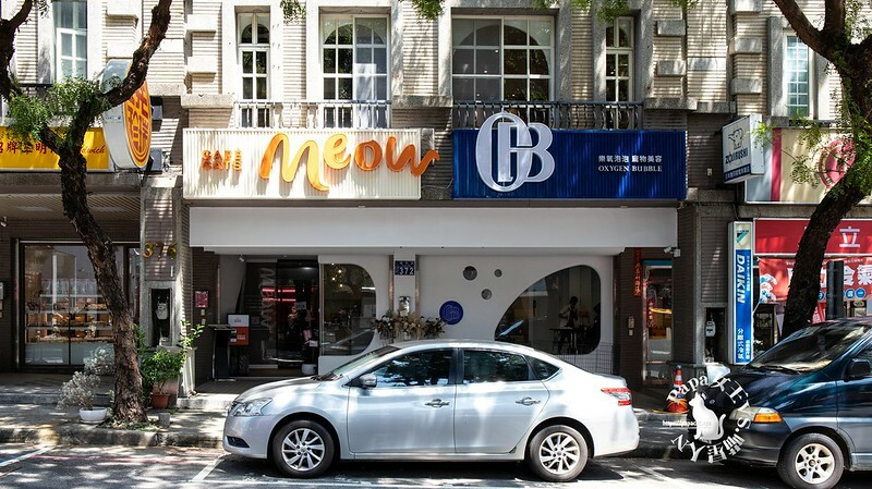 台中西屯｜咖啡  MEOW CAFE 喵屋專業咖啡 顏質兼具網美系貓咪咖啡館  貓控必訪!