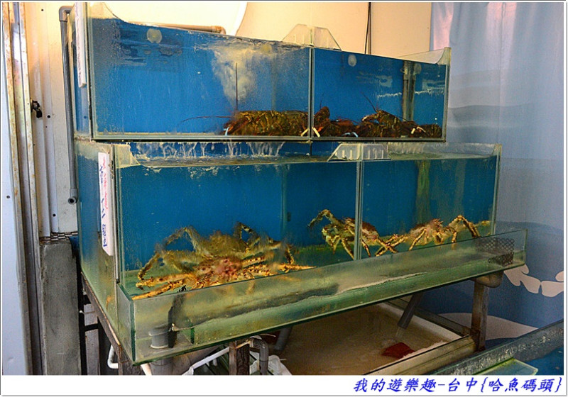 一改再改.越改越糟的.台中-哈魚碼頭