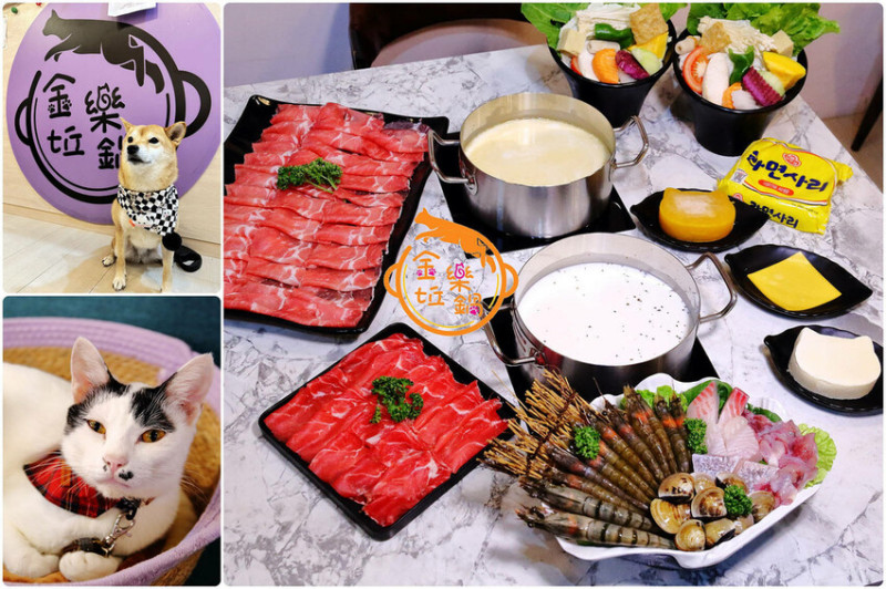 全台第一家貓主題火鍋店．金坵樂鍋，激推超澎湃嚴選海陸餐，飲料暢飲又可以盡情撸貓〜