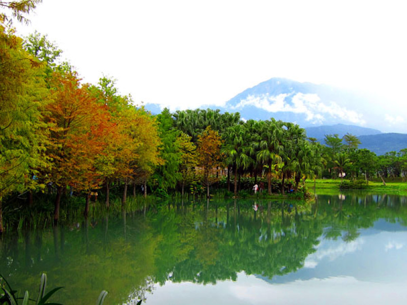 [花蓮。壽豐鄉] 雲山水生態農莊（夢幻湖）