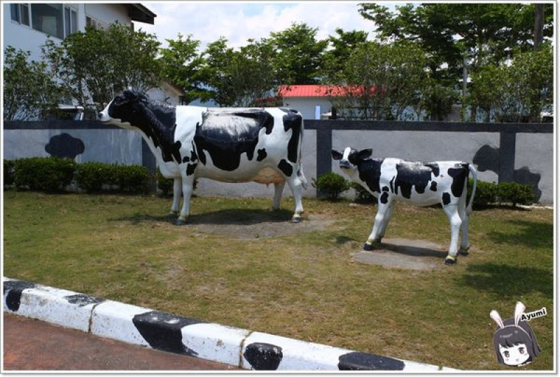 [遊記+食記]►花蓮瑞穗◄吉蒸牧場-吉蒸鮮奶火鍋／吉蒸鮮奶饅頭／吉蒸鮮奶酪／可愛動物園區／親子旅遊好去處        
      