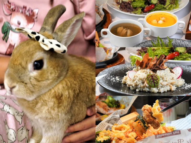 台中美食｜綠萼159地中海南法料理 2023來這吃美食摸摸可愛開運兔兔 不用出國也能吃到南法經典美食