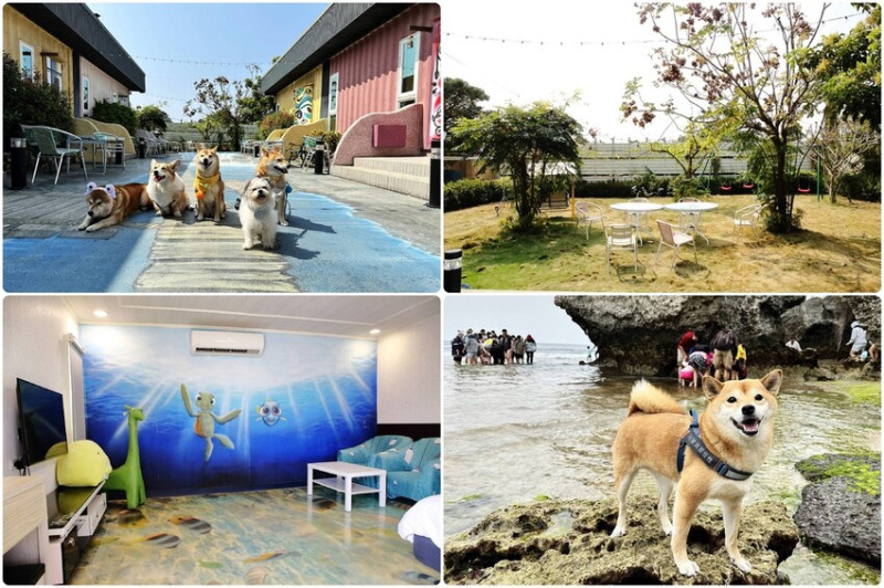 小琉球必住！【你我的相遇】住過必定再回訪！有溫度的寵物友善民宿，像家一般的輕鬆自在溫暖〜