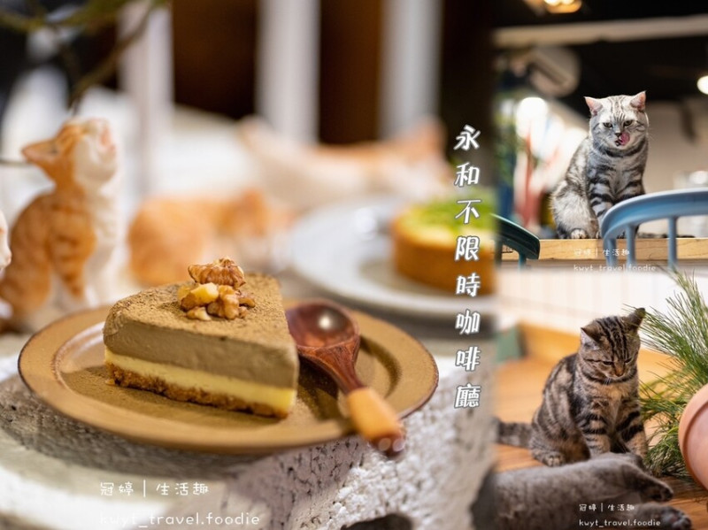 【囧貓苑子】隱藏版貓控天堂！網推永和不限時咖啡廳，超親人貓貓太療癒，百分百手作甜點鹹派│菜單