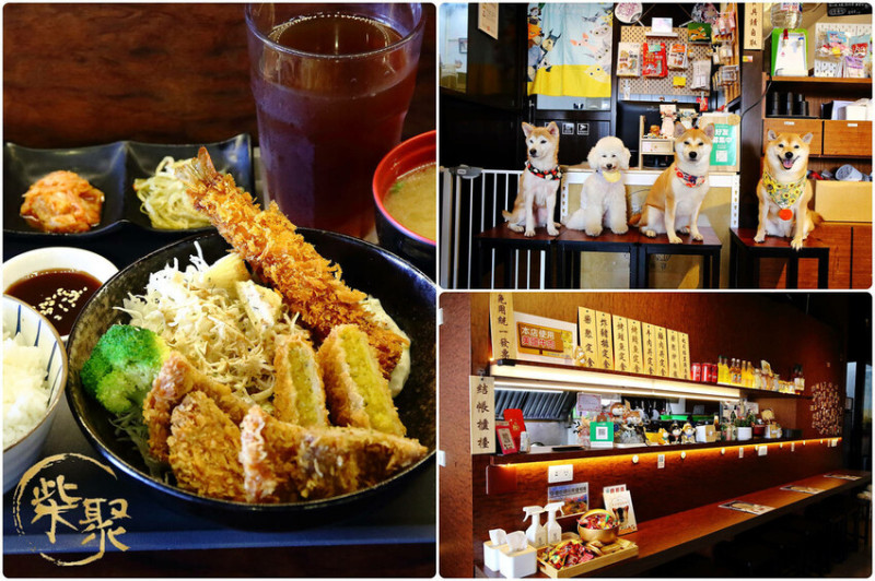 柴聚小吃。中壢寵物友善餐廳，最萌柴柴陪吃陪玩，狗派的朋友們注意啦！