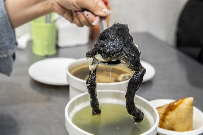 嘉義市西區一盅燉補湯｜外表驚悚卻很美味古早味田雞湯，三代傳承老字號燉補湯