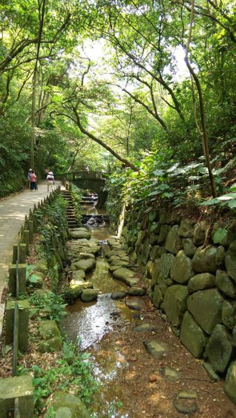虎山步道：虎山溪超美！(捷運後山埤)