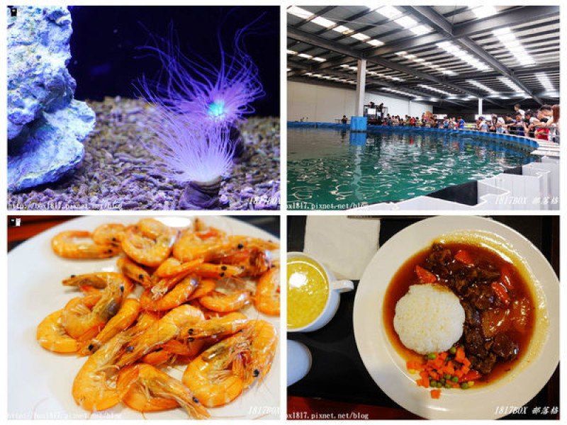 【宜蘭。礁溪】金車鮮蝦養殖場。金車生技水產養殖研發中心。門市吃鮮蝦。參觀海底世界景觀。養殖區看鯊魚餵食秀。礁溪旅遊景點。宜蘭旅遊景點