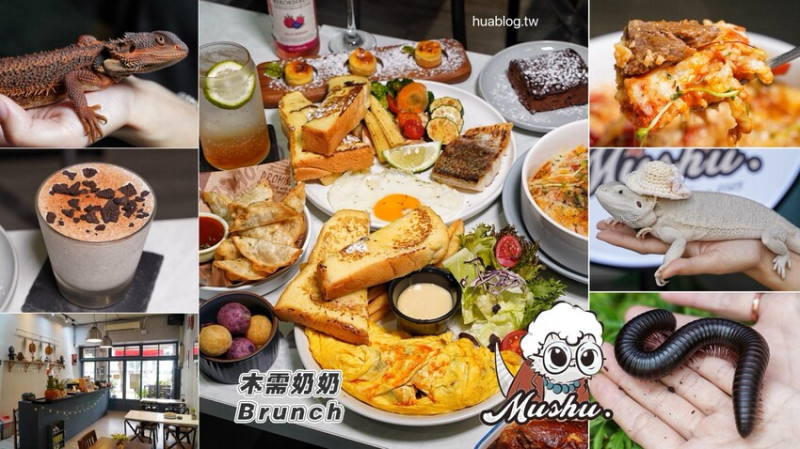 新開幕的「木需奶奶Brunch」竟然是以爬蟲類為主題的早午餐店，早午餐全天候供應超加分！台中平價大份量早午餐新選擇！爬蟲友善餐廳！ - 阿華田的美食日記
