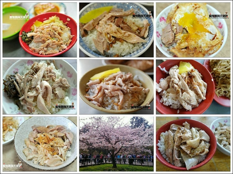《2017阿里山櫻花季花況交管資訊更新》必吃嘉義雞肉飯&文化路夜市口袋名單&熱門景點住宿