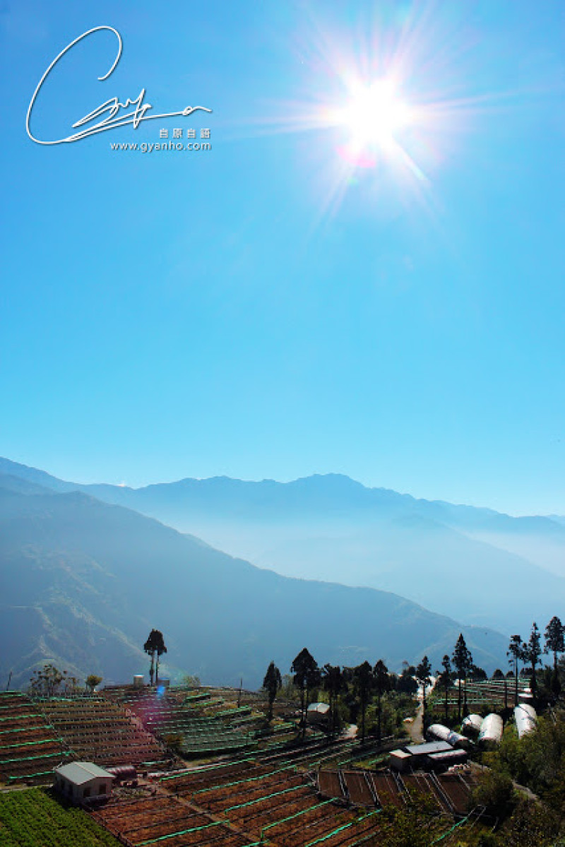 食遊南投：青青草原心呼吸

