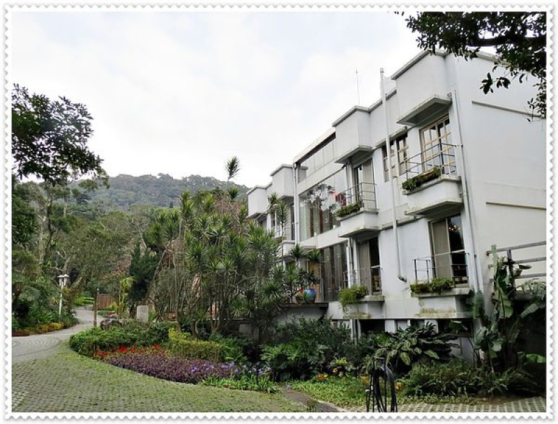 納美花園_新菜色_無菜單蔬食料理