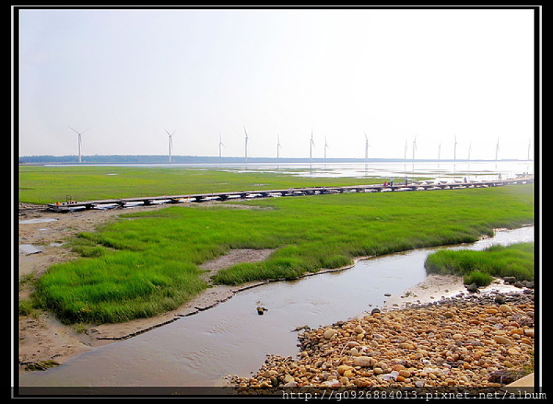 【台中】自然生態風景區〝高美溼地 〞