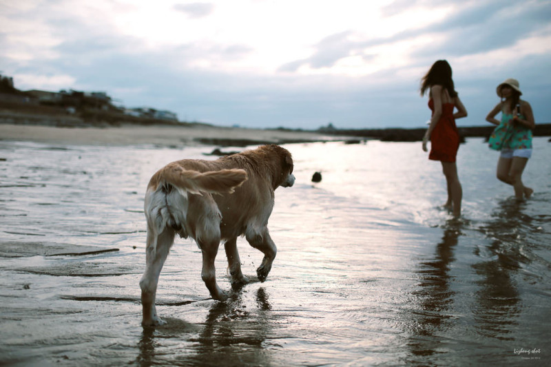 那淺水灣的踏浪探險隊