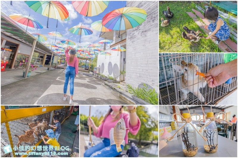 Fun四趣宜蘭，勝洋休閒農場+可達休閒羊場，體驗生態瓶+水草麵條DIY，還有可愛動物近距離餵食