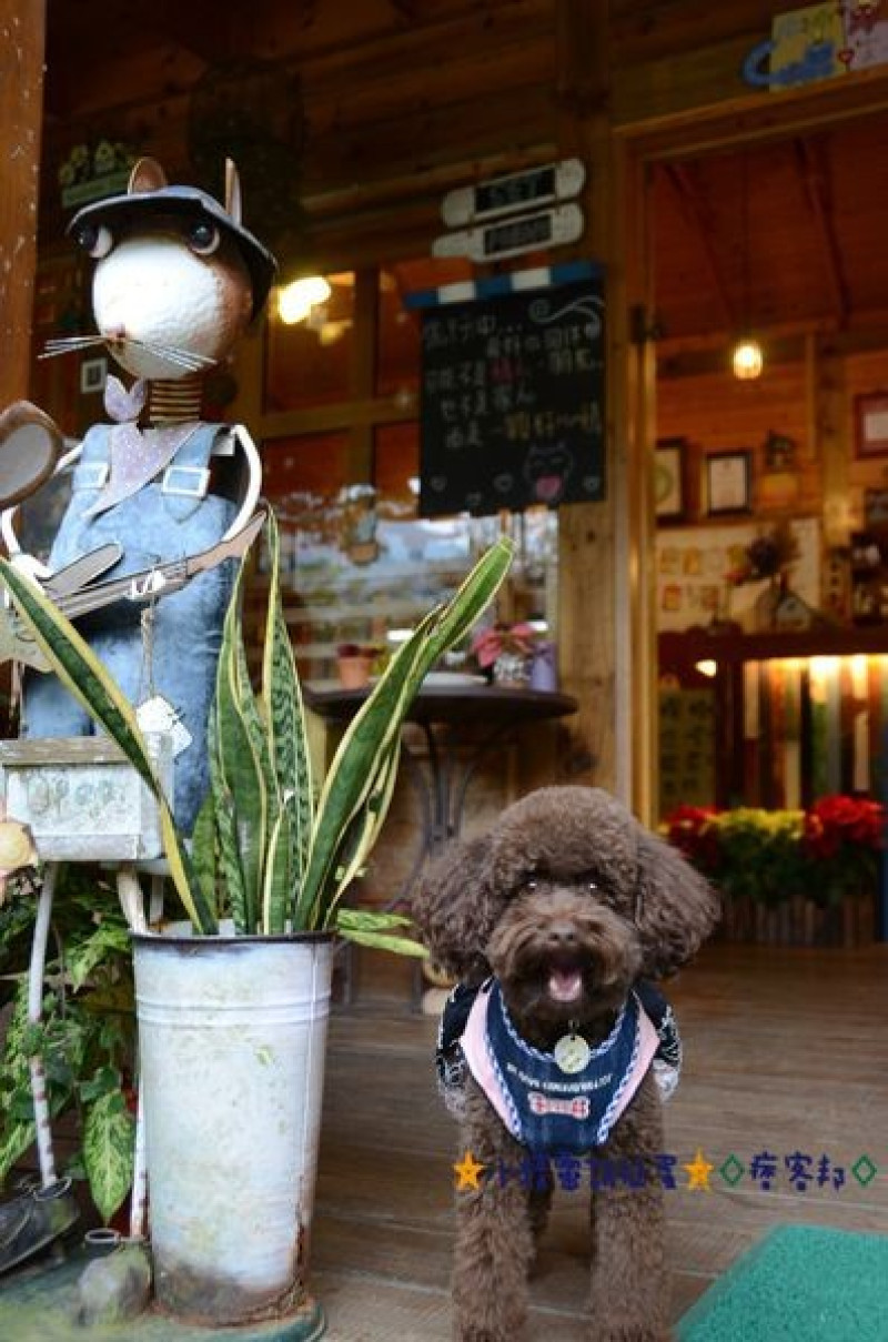 ※寵物友善餐廳※苗栗南庄 橄欖樹咖啡民宿★小精靈胡扯蛋★2015.01.18