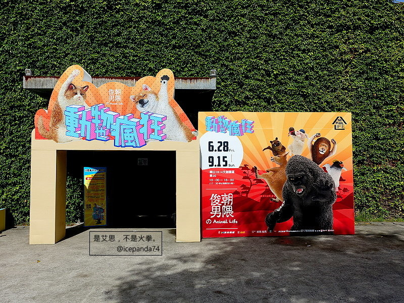 跟著動物凍次凍之朝隈俊男のAnimal Life【動物也瘋狂】