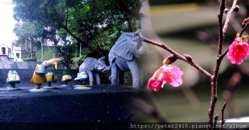 【基隆】中正公園兒童遊樂場｜登階賞櫻，溜滑梯、溜冰場，滿滿的回憶