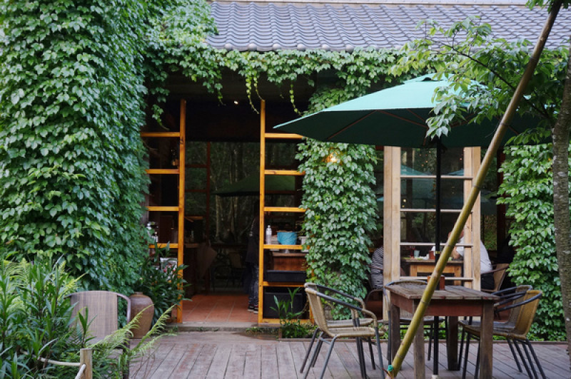 苗栗綠葉方舟－賞螢趣