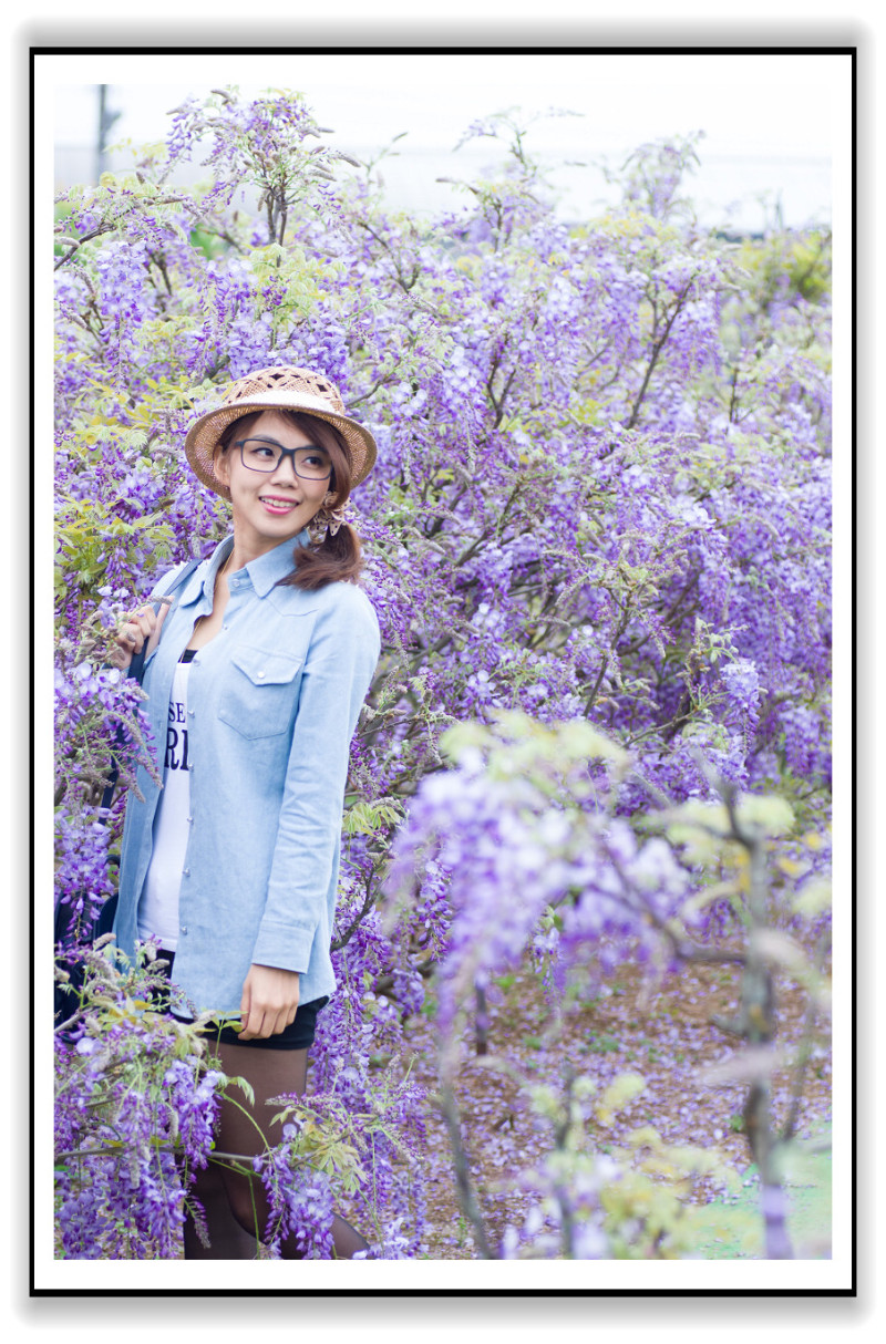 南法普羅旺斯 葡萄莊園? 我在淡水遇見-紫藤咖啡園